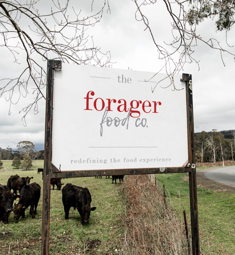 Forager Food Co. sign, in front of a paddock with cows in in